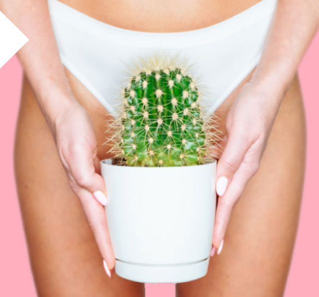 cactus tapando parte intima femenina